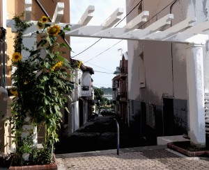 Calle La Braña.